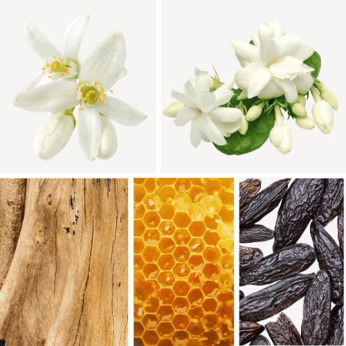 Duftnoten: Orangenblüte, Jasmin, Sandelholz, Honig, Tonkabohne
